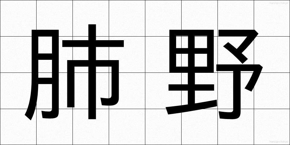 肺野 (はいや)