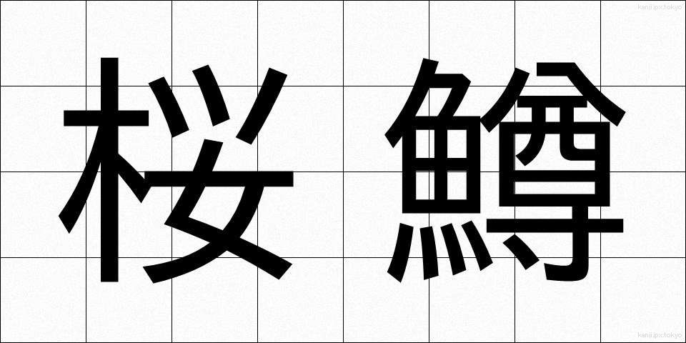 桜鱒 (さくらます)
