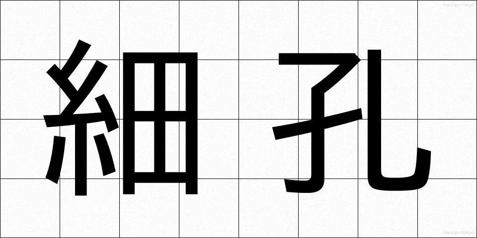 細孔 (さいこう)
