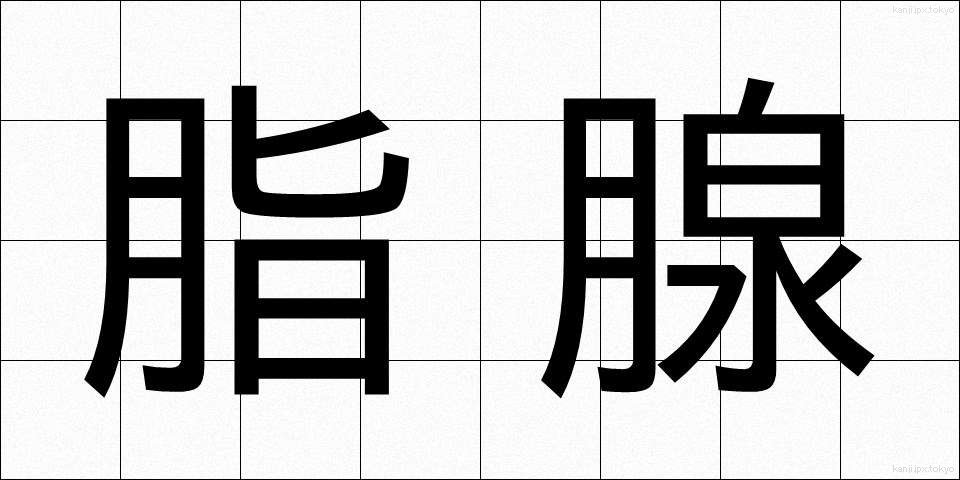 脂腺 (しせん)
