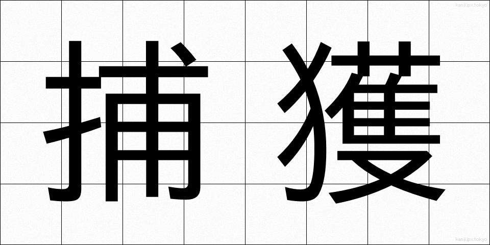 捕獲 (ほかく)