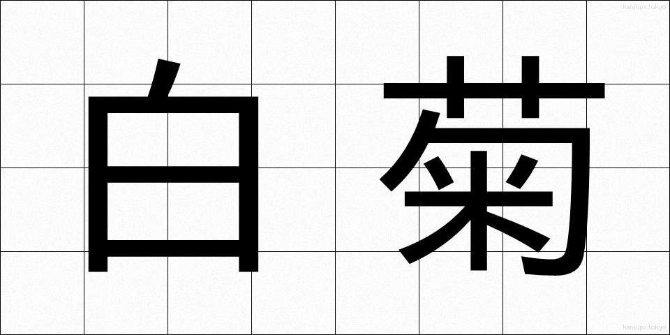 白菊 (しらぎく)