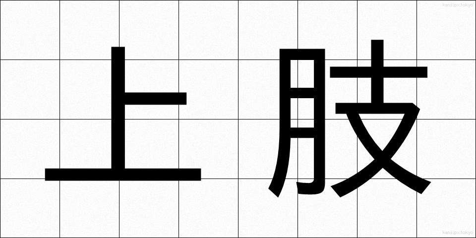 上肢 (じょうし)