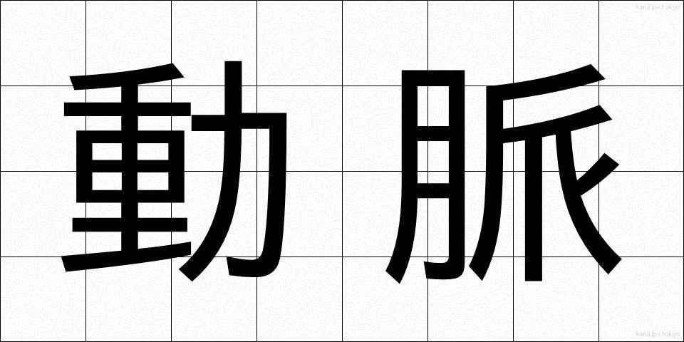 動脈 (どうみゃく)