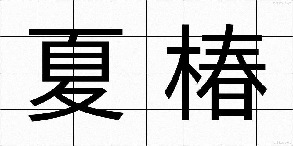 夏椿 (なつつばき)