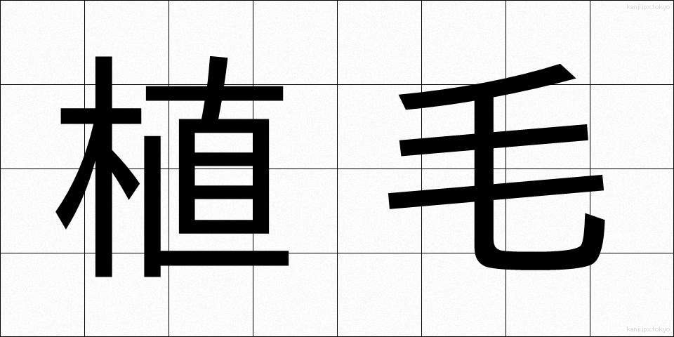 植毛 (しょくもう)