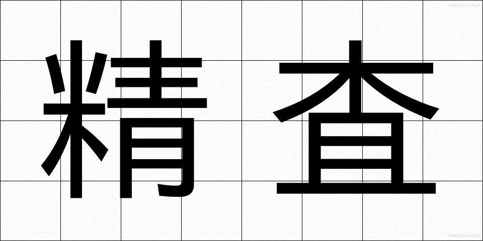 精査 (せいさ)