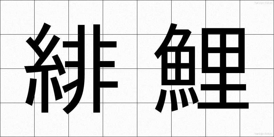 緋鯉 (ひごい)