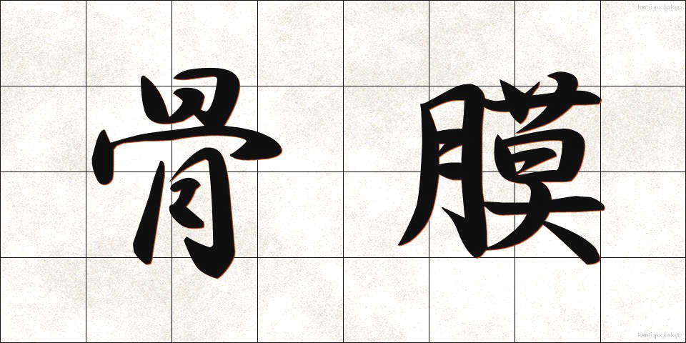 骨膜 (こつまく)