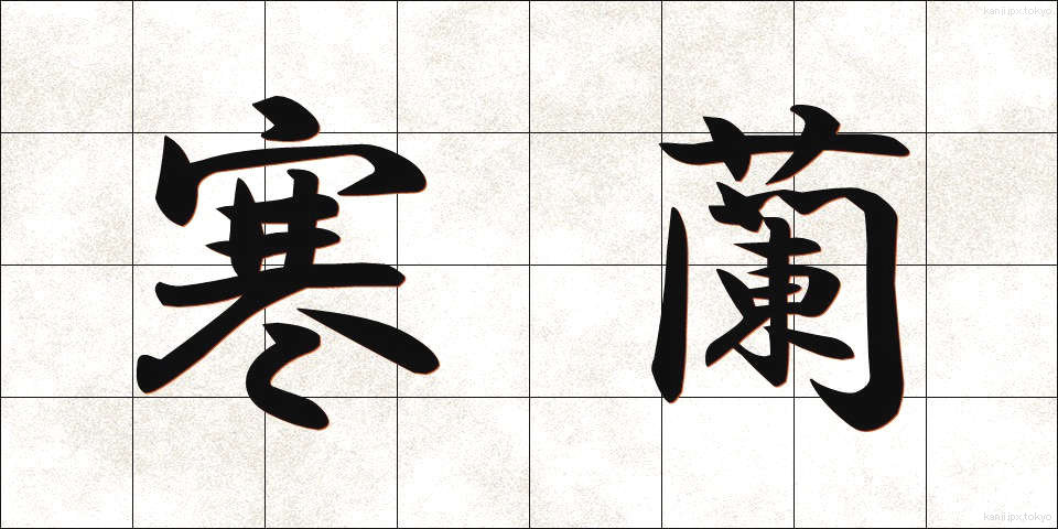 寒蘭 (かんらん)