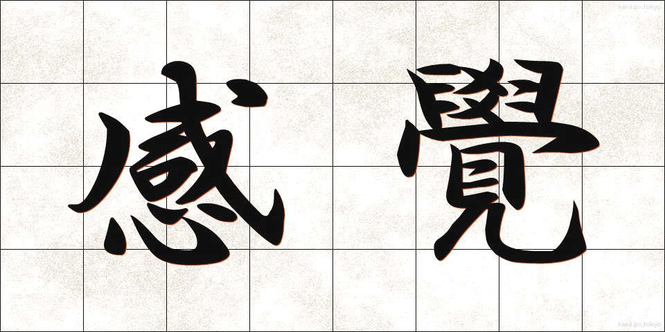 感覺 (かんかく)