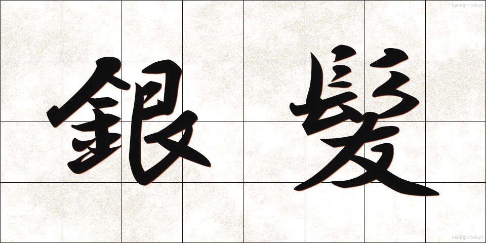 銀髪 (ぎんぱつ)