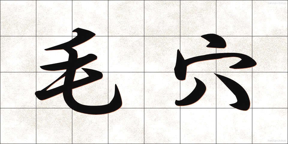 毛穴 (けあな)