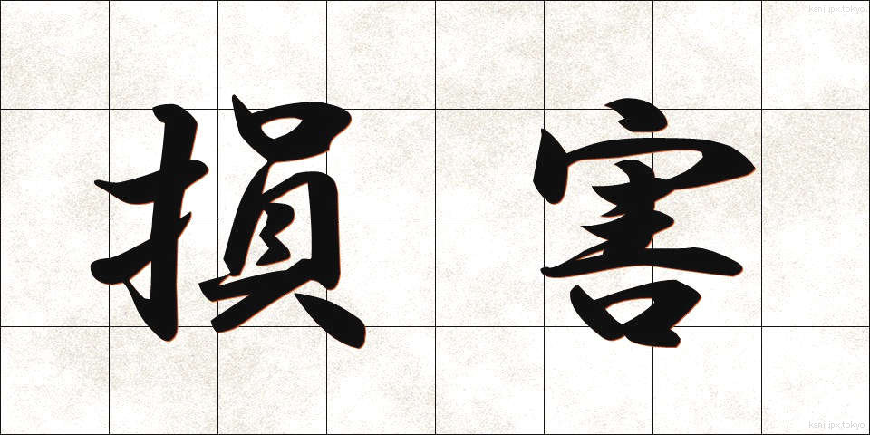損害 (そんがい)