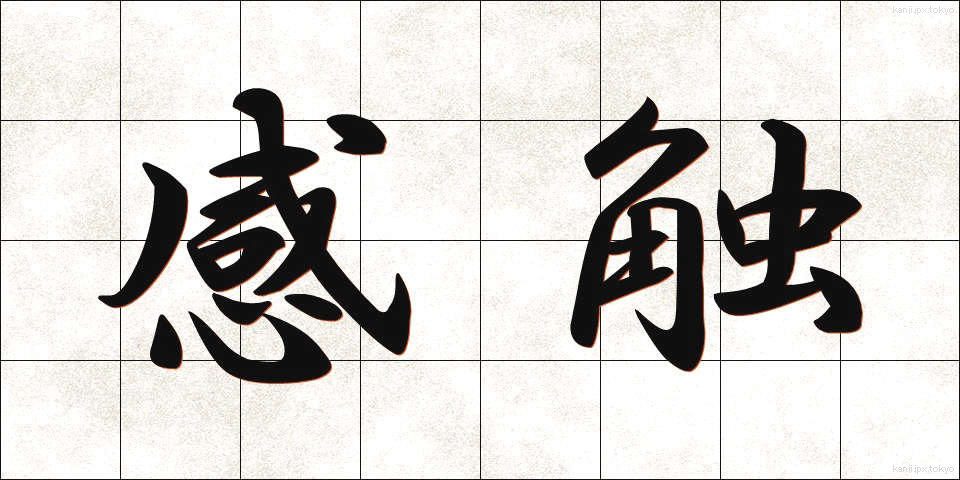 感触 (かんしょく)
