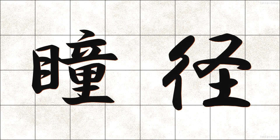瞳径 (どうけい)