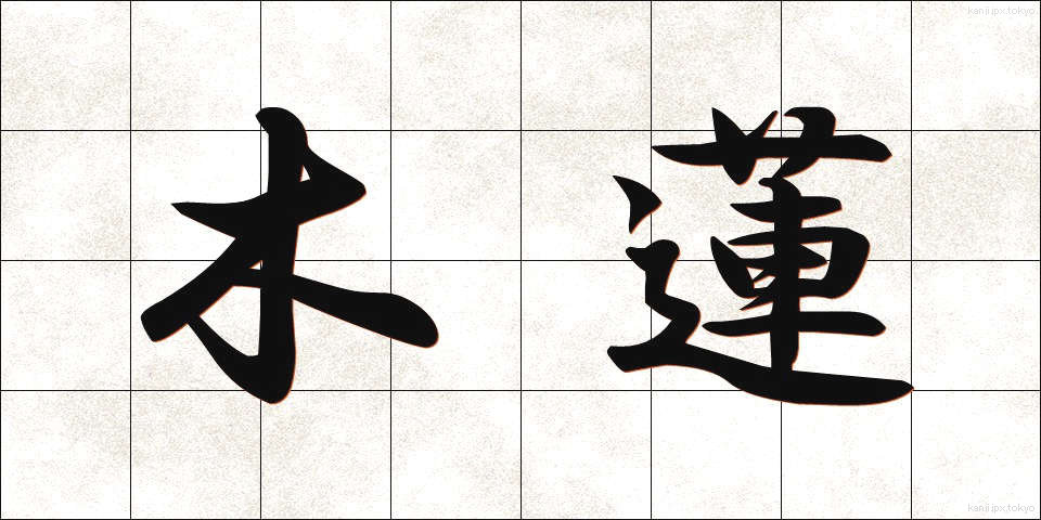木蓮 (もくれん)