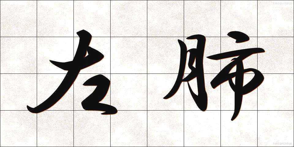 左肺 (さはい)