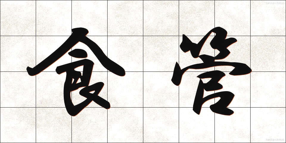 食管 (しょっかん)