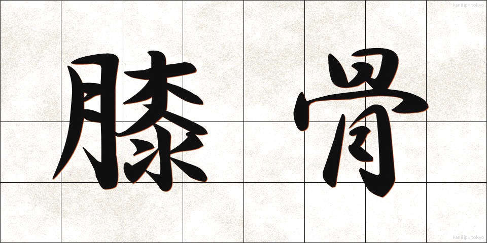 膝骨 (しっこつ)