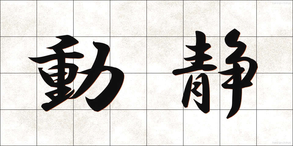 動静 (どうせい)
