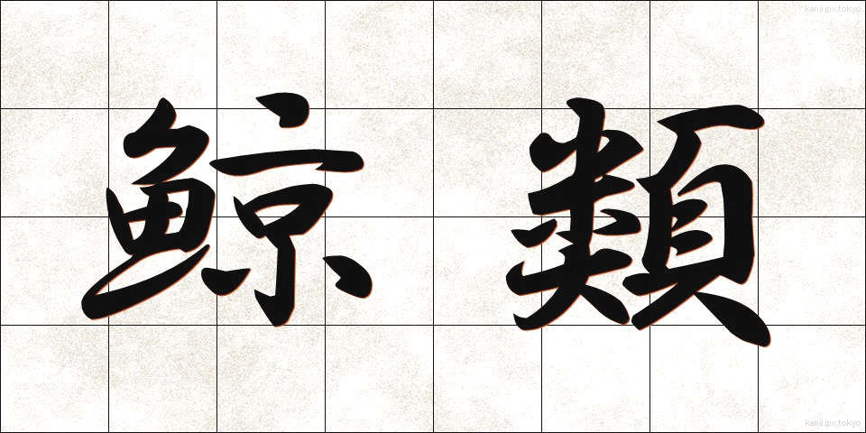 鯨類 (くじらるい)