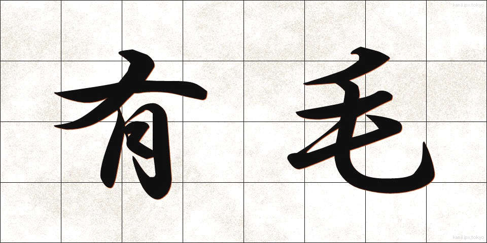 有毛 (ゆうもう)