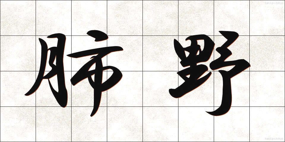 肺野 (はいや)