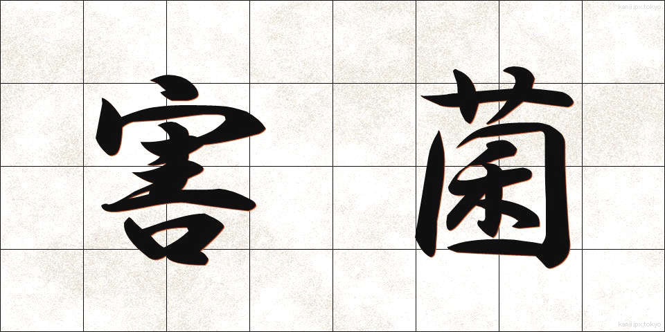 害菌 (がいきん)