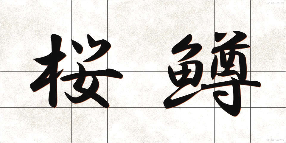 桜鱒 (さくらます)