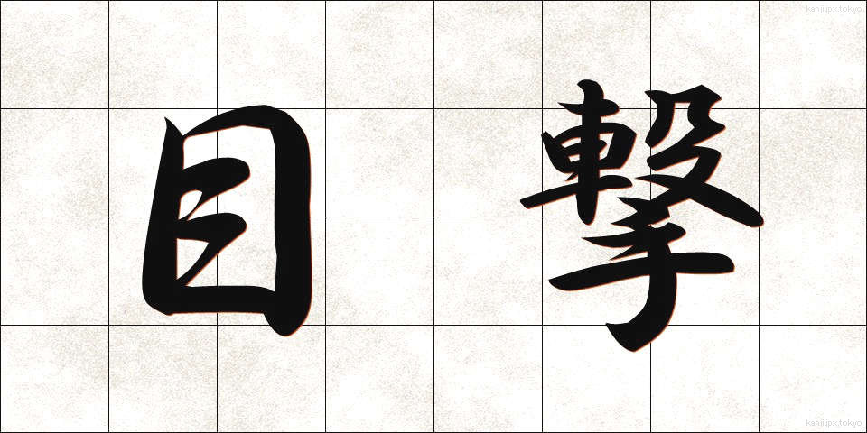 目撃 (もくげき)