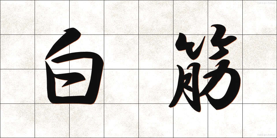 白筋 (しろすじ)