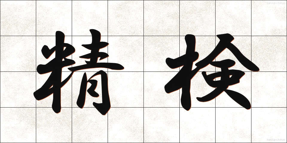 精検 (せいけん)