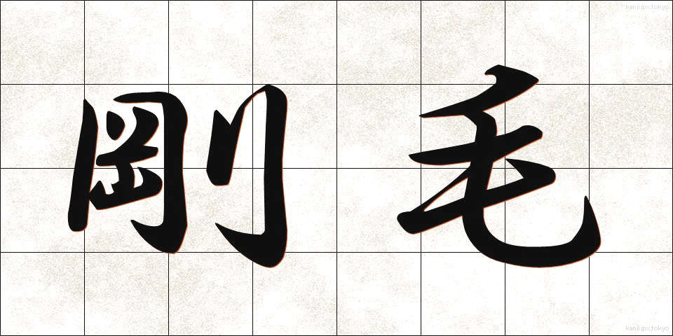 剛毛 (ごうもう)