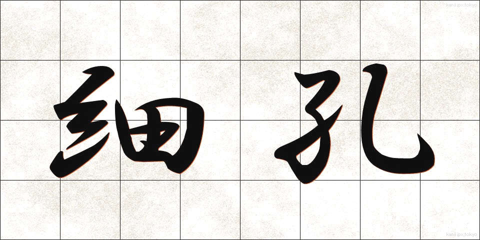 細孔 (さいこう)