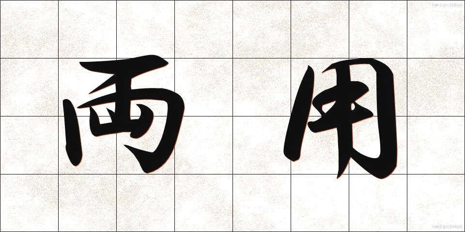両用 (りょうよう)