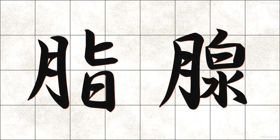 脂腺 (しせん)