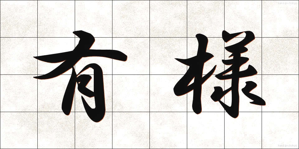 有様 (ありさま)