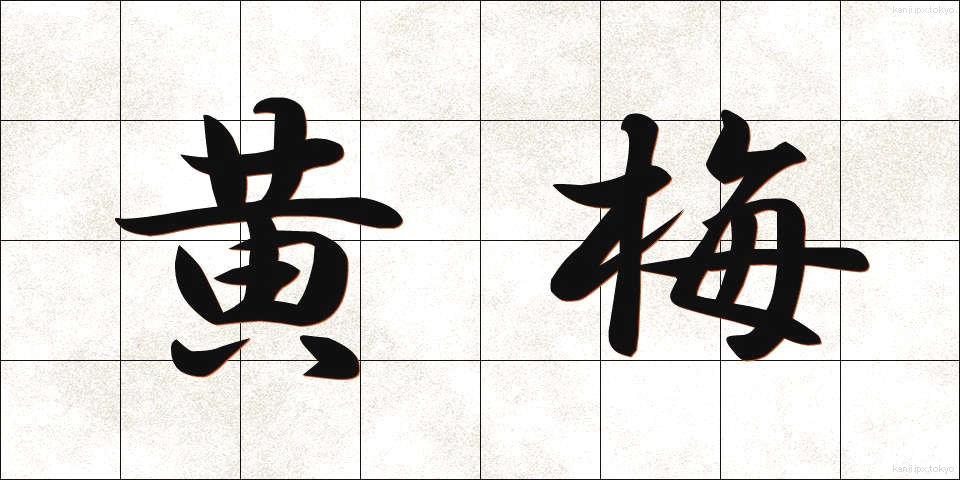 黄梅 (おうばい)