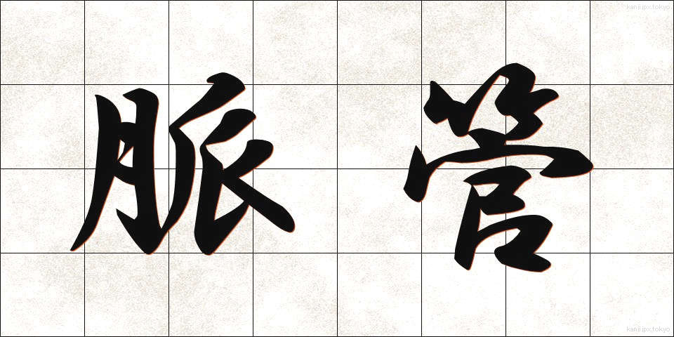 脈管 (みゃくかん)