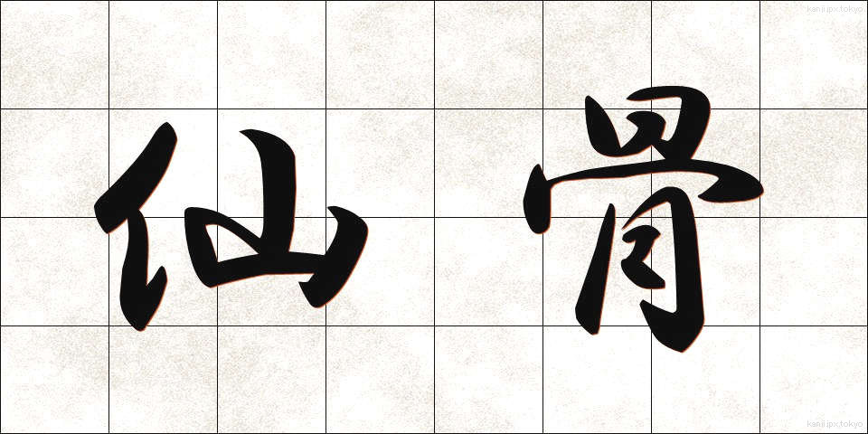 仙骨 (せんこつ)