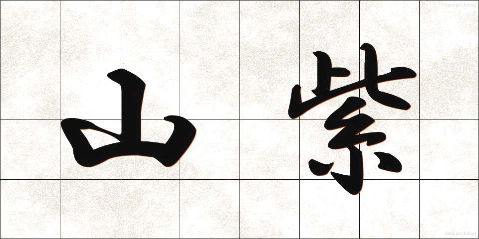 山紫 (やまむらさき)