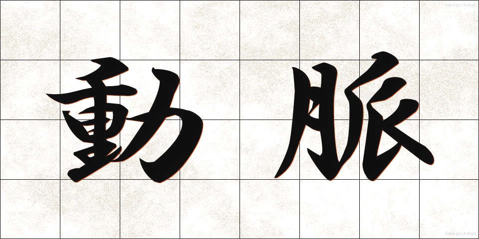 動脈 (どうみゃく)