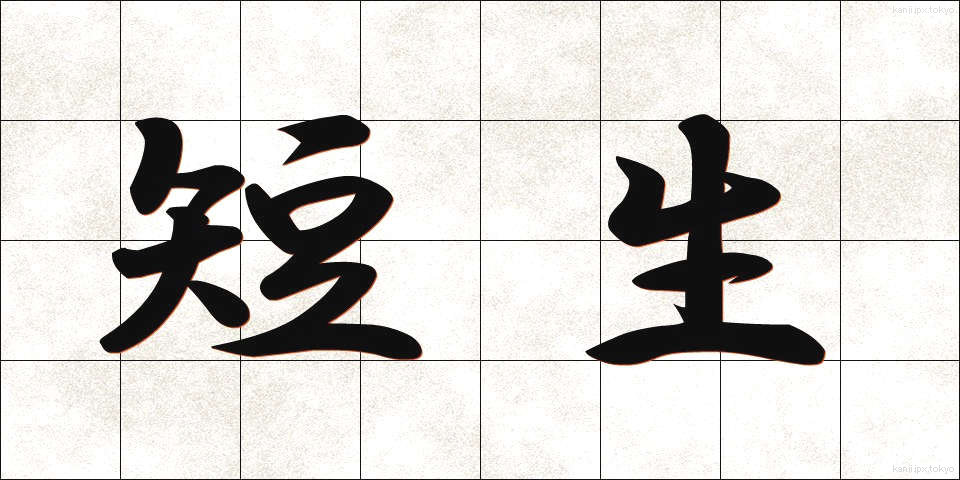 短生 (たんせい)