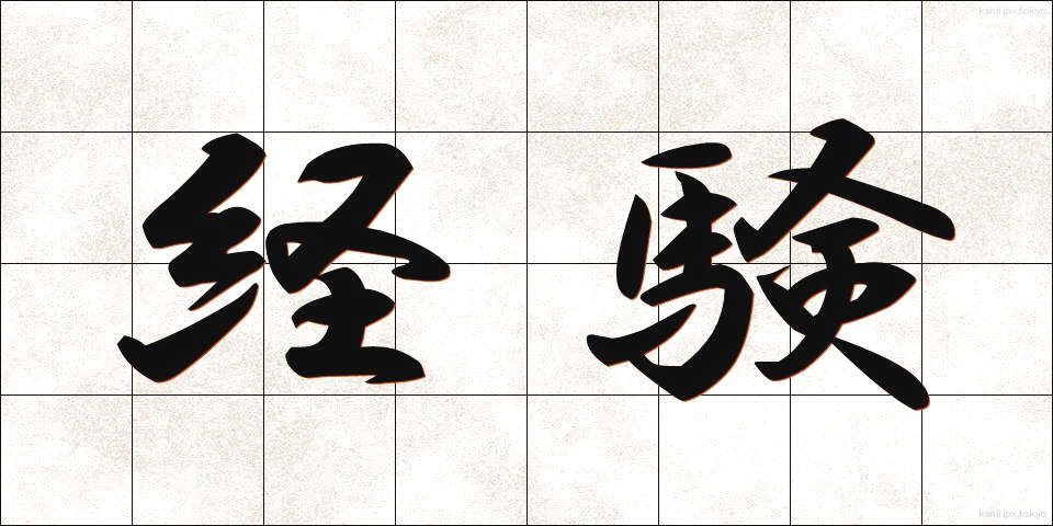 経験 (けいけん)