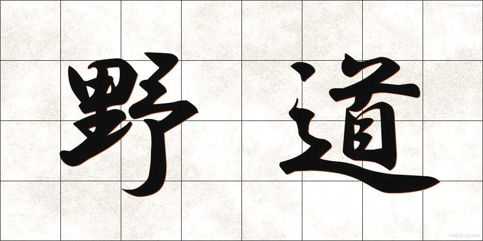 野道 (のみち)