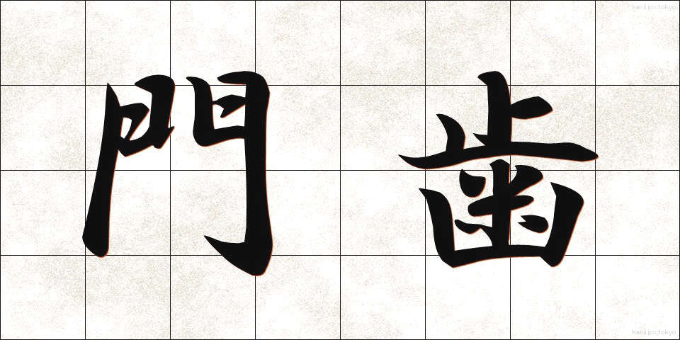 門歯 (もんし)