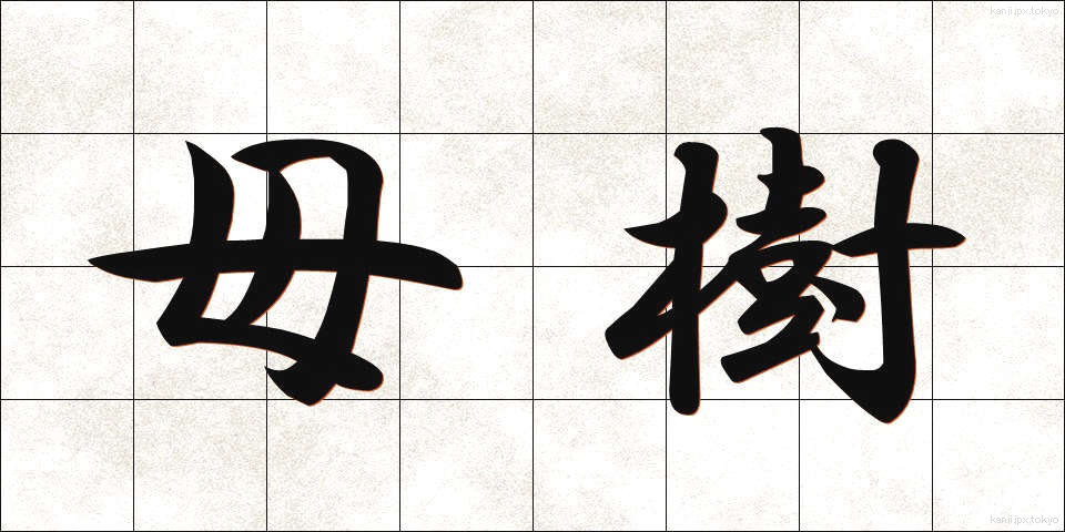 母樹 (ぼじゅ)