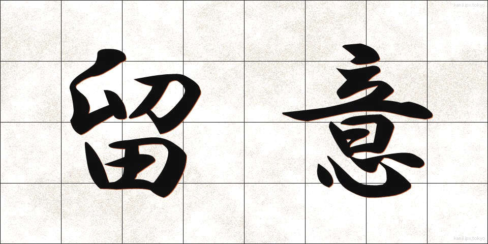 留意 (りゅうい)