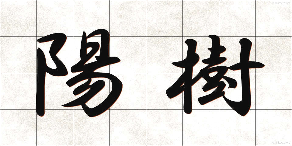 陽樹 (ようじゅ)